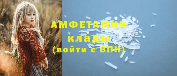 тгк Дмитриев