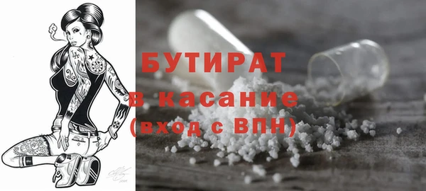 тгк Дмитриев