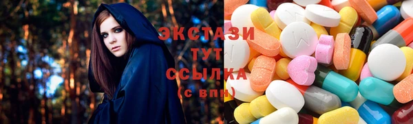 тгк Дмитриев