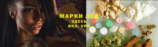 тгк Дмитриев