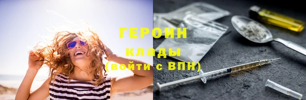 тгк Дмитриев