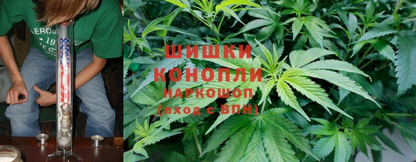 тгк Дмитриев