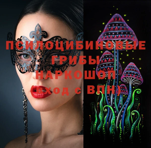 тгк Дмитриев