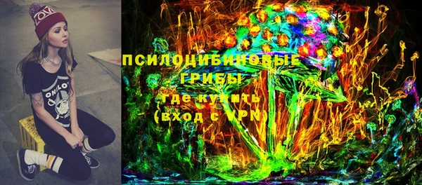 apvp Дмитров