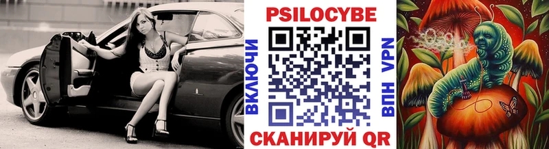 Купить  Кизилюрт  Галлюциногенные грибы Psilocybine cubensis 